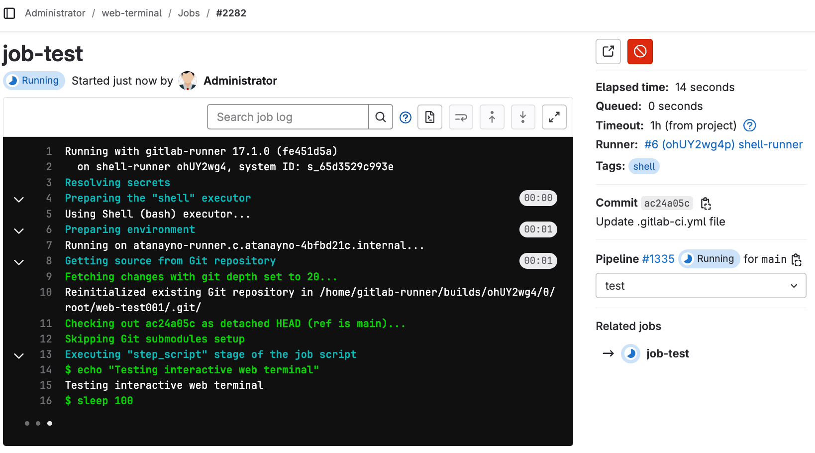 Example of job running with terminal available